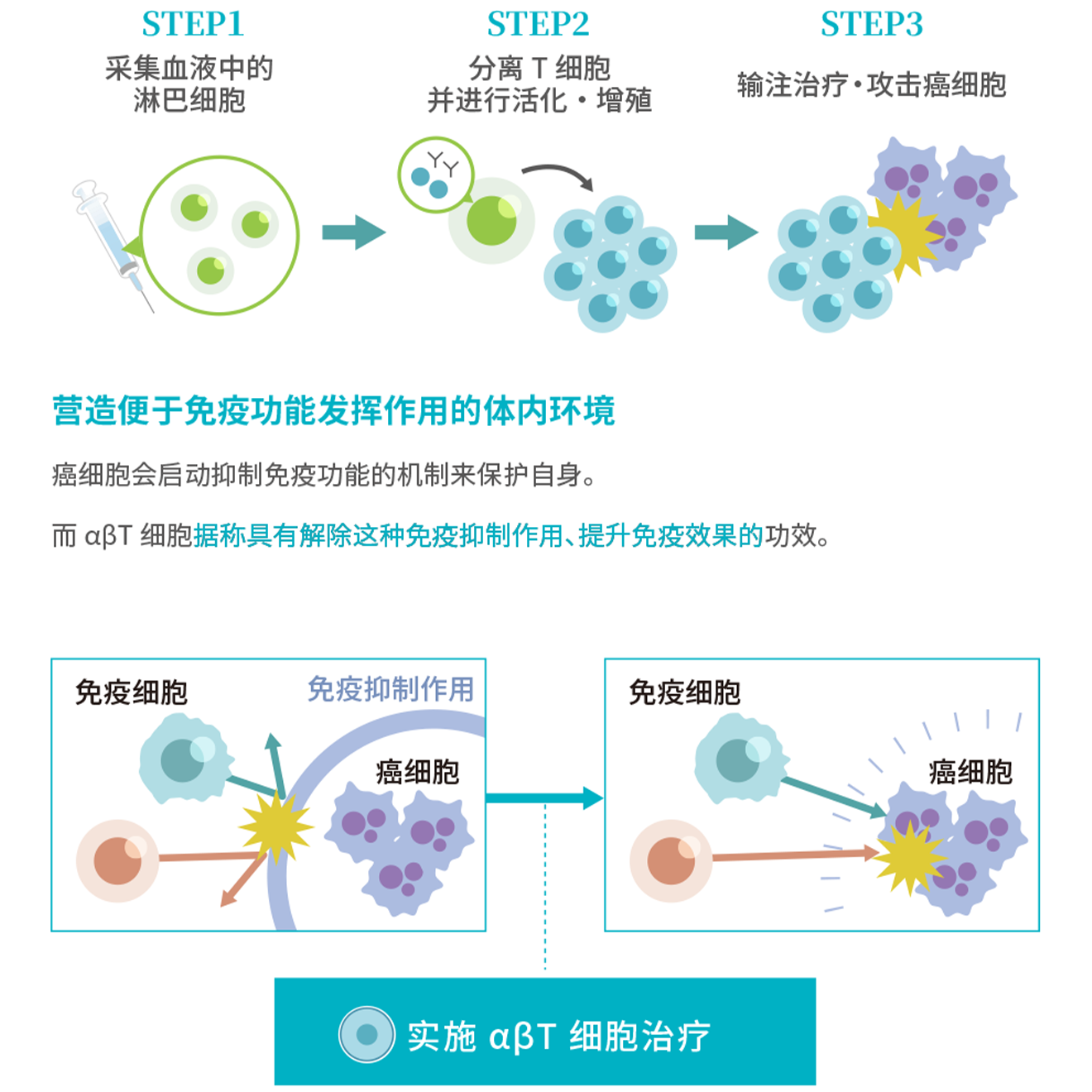 [STEP1]采集血液中的淋巴细胞→[STEP2]分离 T细胞并进行活化・增殖→[STEP3]输注治疗・攻击癌细胞／【营造便于免疫功能发挥作用的体内环境】癌细胞会启动抑制免疫功能的机制来保护自身。而 αβT细胞据称具有解除这种免疫抑制作用、提升免疫效果的功效。◎实施 αβT细胞治疗