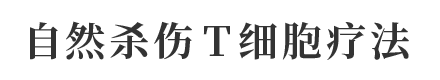 NKT细胞疗法 自然杀伤 T细胞疗法
